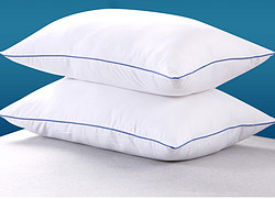 AQUABALL 水叮当 枕芯加枕套套装枕头带枕套学生单人护颈椎枕成人家用