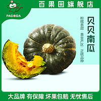 PAGO JOY 百果心享 内蒙古贝贝南瓜2.5kg  板栗小南瓜新鲜蔬菜辅食优选