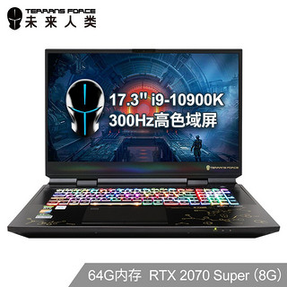 TERRANS FORCE 未来人类 Terrans Force X7200 17.3英寸笔记本(i9-10900K 64G 2T PCIe SSD RTX 2070 Super 300Hz)