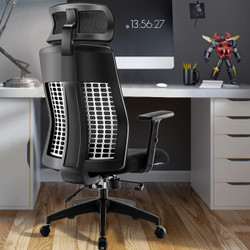 LIANFENG 联丰 联丰（LIANFENG）电脑椅 办公椅 人体工学椅子家用转椅 DS-175C 黑