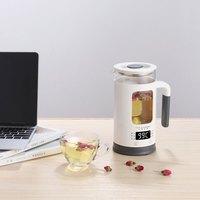 生活元素多功能养生水壶