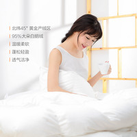 8H 95%大朵白鹅绒秋冬被Y1