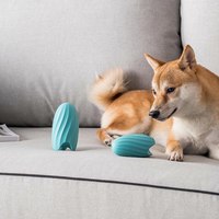 佐敦朱迪冰淇淋漏食球