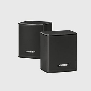 Bose Virtually lnvisible300扬声器