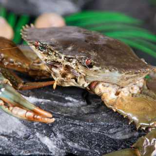 味库海鲜 鲜活台山青蟹 产地直采