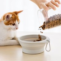 佐敦朱迪宠物硅胶折叠碗