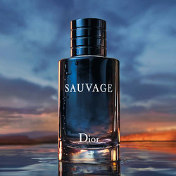 Dior 迪奥 旷野男士淡香水 EDT