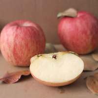 圣诞苹果礼盒装 顺丰包邮 圣诞礼物 礼品