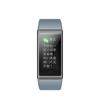 Amazfit Cor手环（海豚灰）