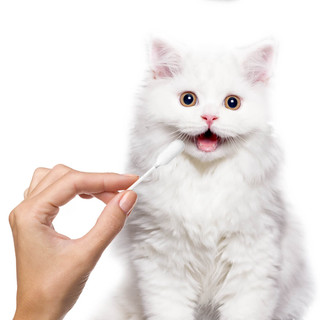 Uah有哈 猫狗基因检测