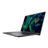 DELL 戴尔 成就 5310 十一代酷睿版 13.3英寸 轻薄本 橄榄灰 (酷睿i5-11300H、MX450、16GB、512GB SSD、2.5K、IPS、60Hz、R1628N)