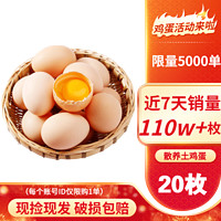 黄河畔  农家新鲜土鸡蛋 现捡柴鸡蛋笨草鸡蛋月子蛋 土鸡蛋 20枚