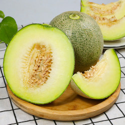 BAIGUOJING 百果精 海南网纹瓜玫珑蜜瓜 8-9斤(2-4个)