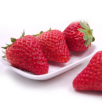 京鲜生 丹东99红颜奶油草莓 500g礼盒装 单果18g+ 新鲜水果礼盒