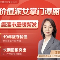 19年磨一剑 价值派女掌门 嘉实价值臻选混合