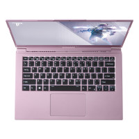 PLUS会员：ThundeRobot 雷神  911MixBook Air 14英寸笔记本电脑（i7-10510U、16GB、1TB SSD、100%sRGB）烟熏粉