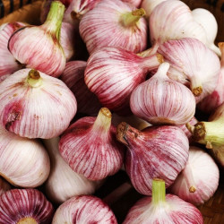 现挖鲜蒜湿蒜大蒜糖醋蒜嫰蒜干蒜头新蒜紫皮大蒜头整箱批发5斤鲜蒜5斤