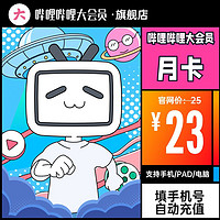 bilibili 哔哩哔哩 哔哩哔哩大会员月卡