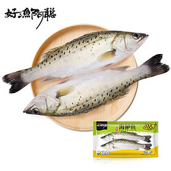 好渔阿聪  三去白蕉海鲈鱼(2条装） 净膛开肚净重1Kg *5件+凑单品