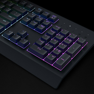 RAZER 雷蛇 萨诺狼蛛幻彩版 有线薄膜键盘 黑色 RGB