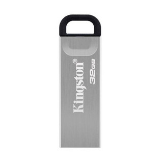 Kingston 金士顿 DTKN USB 3.2 车载U盘 银色 256GB USB接口+挂绳