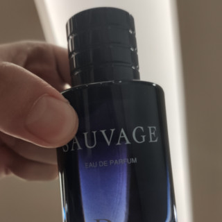 Dior 迪奥 旷野男士浓香水 EDP