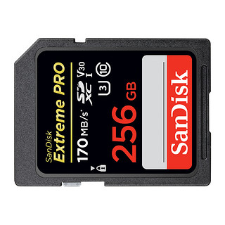 SanDisk 闪迪 Extreme PRO 至尊超极速系列 SD存储卡 256GB（UHS-I、V30、U3）