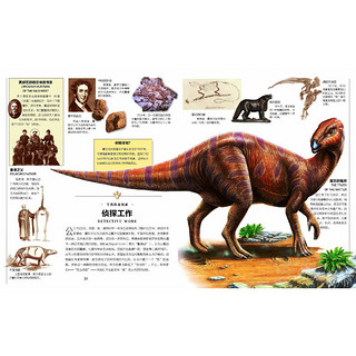 《探索·科学专题百科绘本：恐龙纪元》