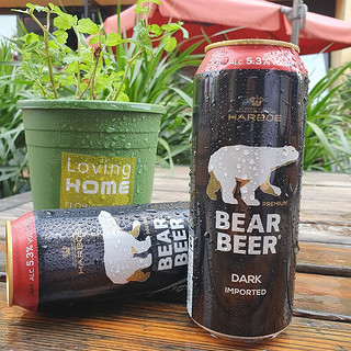 BearBeer 豪铂熊 黑啤酒 500ml*24听