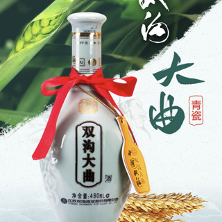 双沟 大曲 青瓷 53%vol 浓香型白酒 480ml*2瓶 双支装