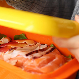 制冷保鲜饭盒 Frozzypack夏天冷鲜盒保鲜日式保冷塑料便当饭盒餐盒制冷可微波炉 黄盖橙底+束带