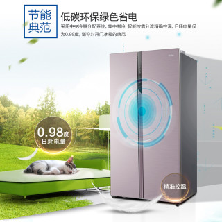 (线下同款)海尔(Haier)冰箱家用大容量对开门风冷无霜双变频纤薄机身双开门超薄电冰箱官方旗舰款BCD-601WDPR