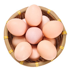 汇尔康（HR）土鸡蛋 新鲜草鸡蛋40枚