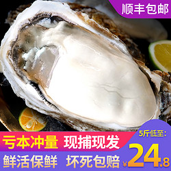 乳山生蚝鲜活5斤海鲜水产海蛎子贝壳新鲜牡蛎带壳10斤特大一箱