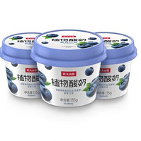 NONGFU SPRING 农夫山泉 植物酸奶 蓝莓味 135g*12杯