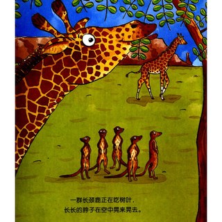 《麦克米伦·神奇的动物系列·幼儿科普馆》（套装共4册）