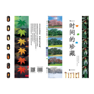 《时间的珍藏》（精装）