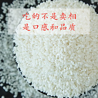 京东PLUS会员：宏大 五常稻花香白香米  5kg