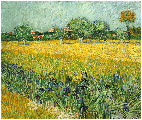 橙舍梵高鸢尾花艺术装饰画世界名画复制品风景田园艺术6070