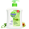 Dettol 滴露 植物呵护健康抑菌洗手液