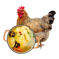 温润  岭南老母鸡1.2kg（散养500+天）（低至21.9元/只，组合购买可更优，多方案可选）