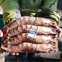 PLUS会员：mr seafood 京鲜生 越南黑虎虾 14-16个（长18cm） 共1kg