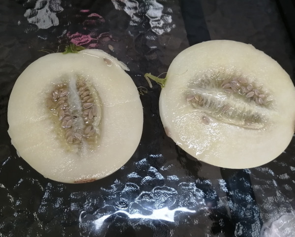 好货福利潼关软籽石榴陕西阎良甜瓜46个共5斤