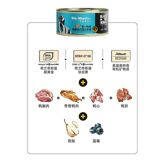 黑鼻头主食罐猫罐头低敏全价通用型幼猫成猫罐头 单一鸡肉全价猫主食罐100g*16罐