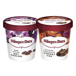 Häagen·Dazs 哈根达斯 进口法国哈根达斯冰淇淋冰激凌葡萄朗姆酒 巧克力