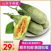 桃小蒙 顺丰-山东羊角蜜甜瓜4.5斤