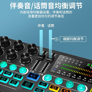 e之音 V8 手机声卡套装 抖音吃鸡快手直播K歌电脑外置声卡K歌麦克风设备套装 P2声卡+M9