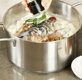 Fissler 菲仕乐 乔伊系列 汤锅(24cm、304不锈钢)