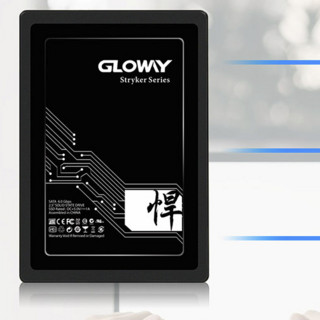 GLOWAY 光威 悍将 SATA 固态硬盘 2TB（SATA3.0）STK2TS3-S7