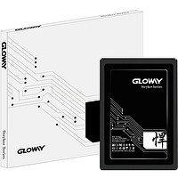 GLOWAY 光威 悍将 SATA 固态硬盘 4TB（SATA3.0）STK4TS3-S7